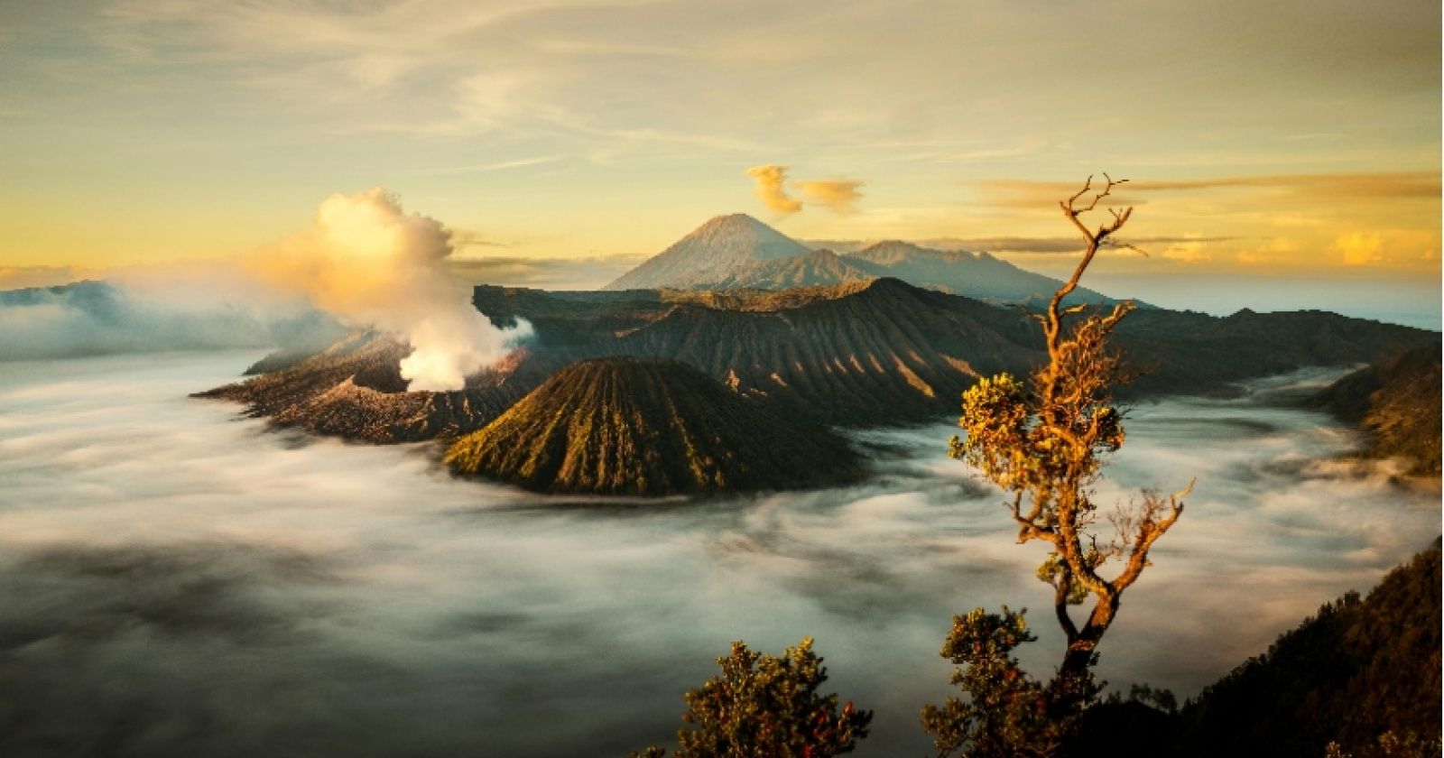 1600x840 Pesona Gunung Bromo: Menggoda Wisatawan untuk Menyaksikan Keindahan Alam