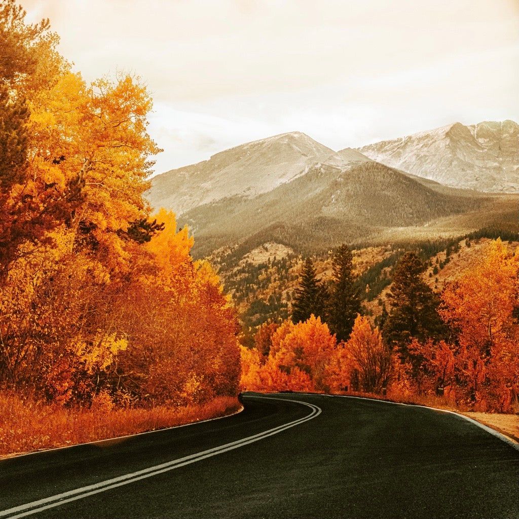 1024x1024 Best Fall Foliage Hikes in Colorado