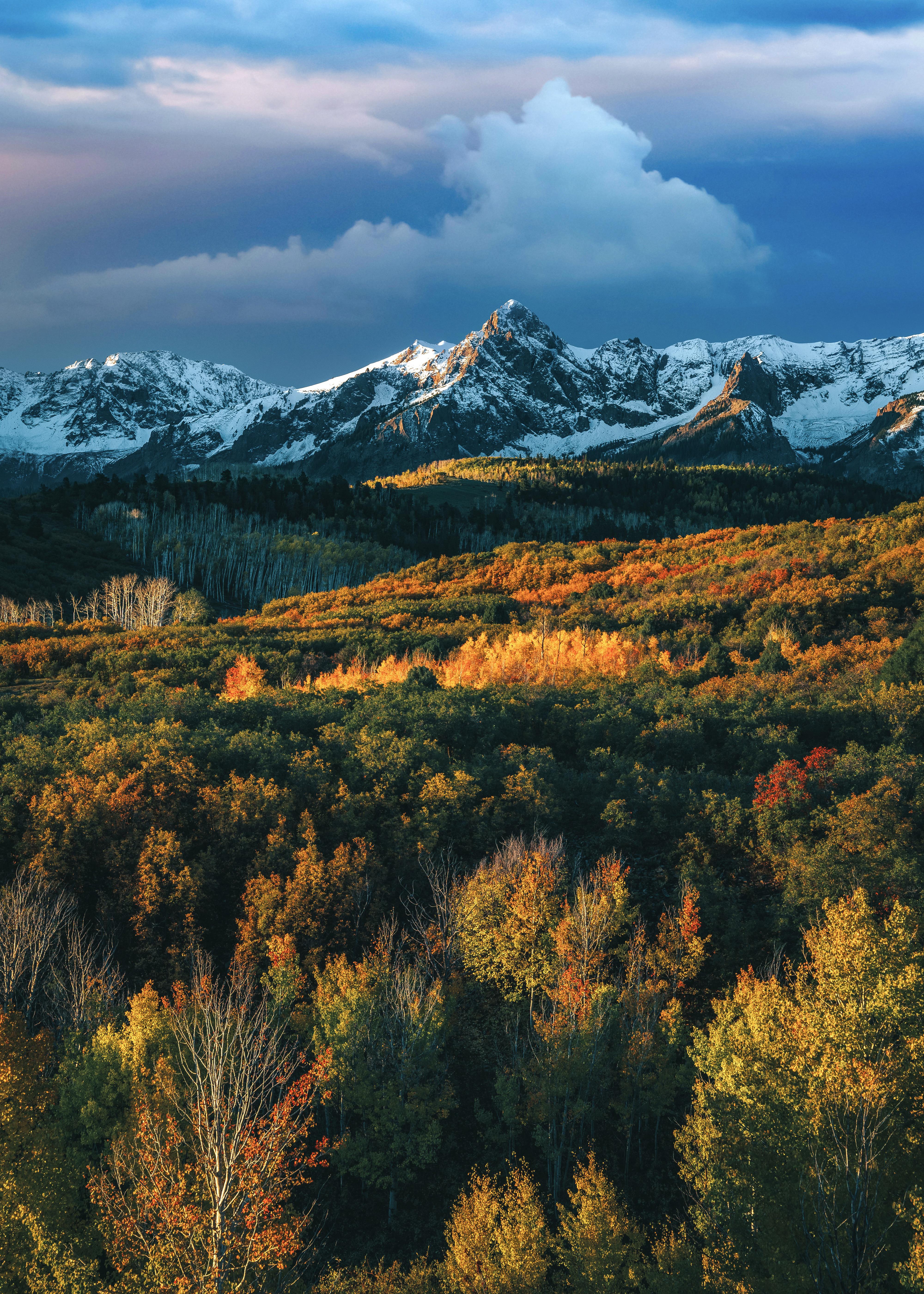 4000x5600 Fall in the San Juan Mountains of Colorado [4000x5600][OC] @zanexdaniel