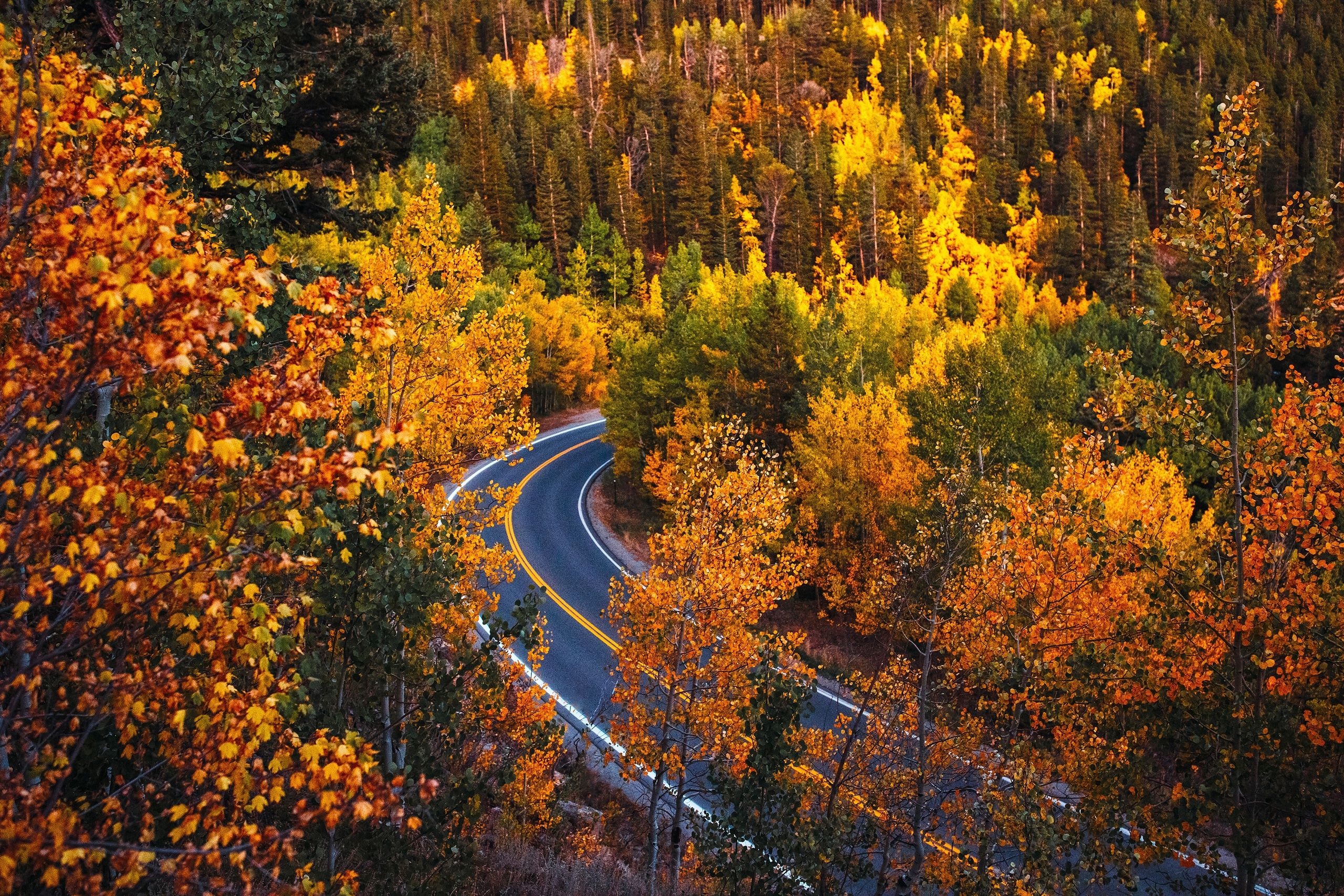 2560x1707 Free road, autumn 2K wallpaper for desktop and phone