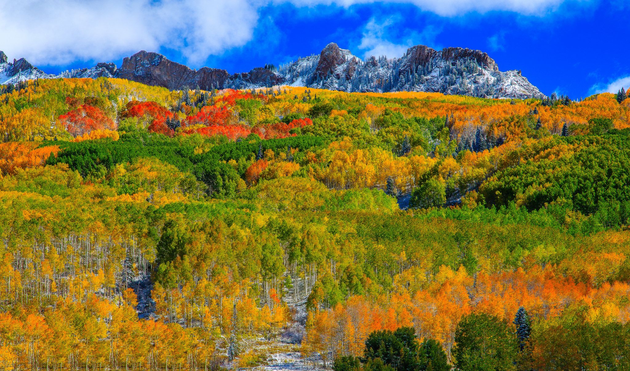 2048x1208 Colorado Fall Splendor: Vibrant Mountain Forest Landscape HD Wallpaperx1208