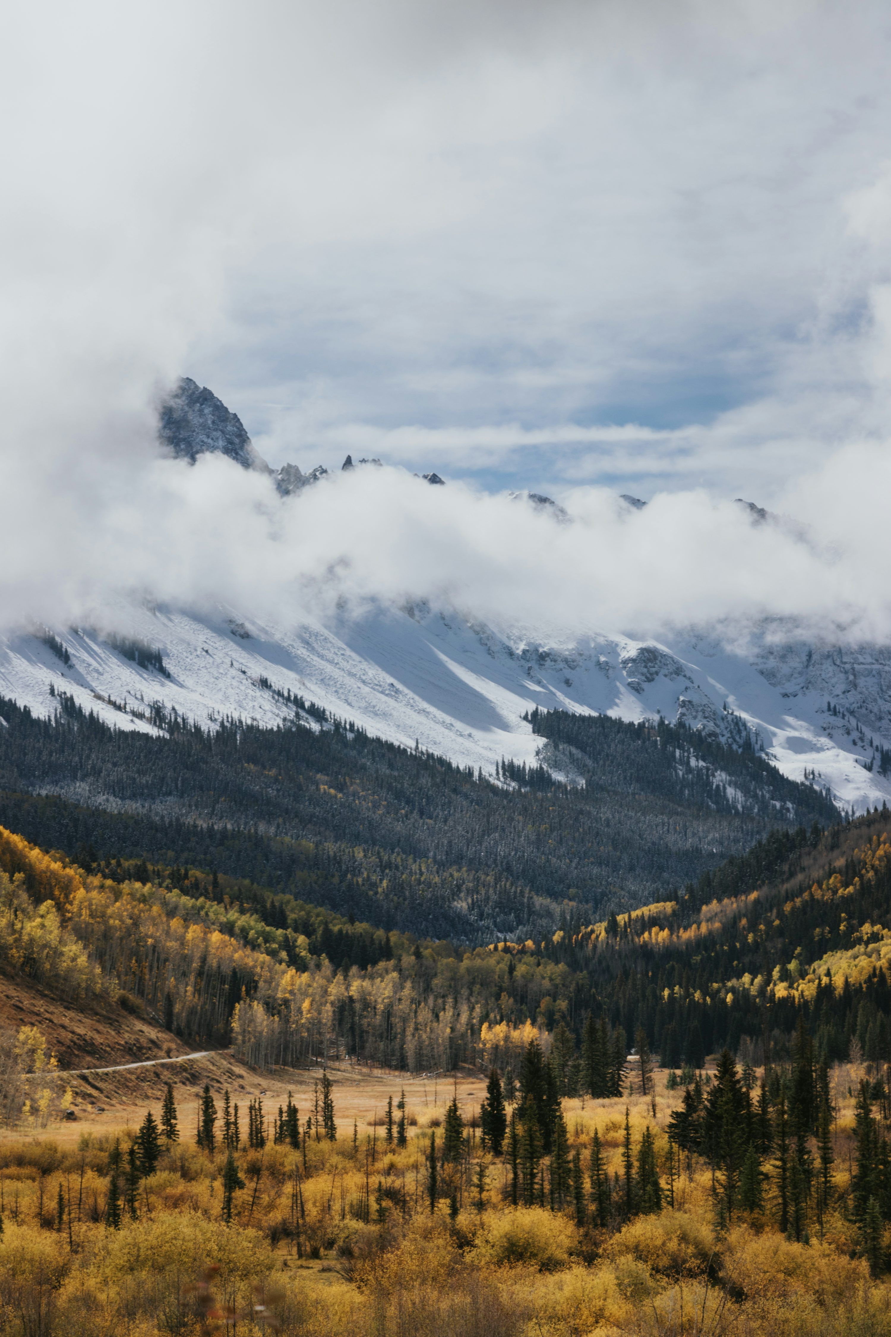 3000x4500 Colorado Fall Picture. Download Free Image