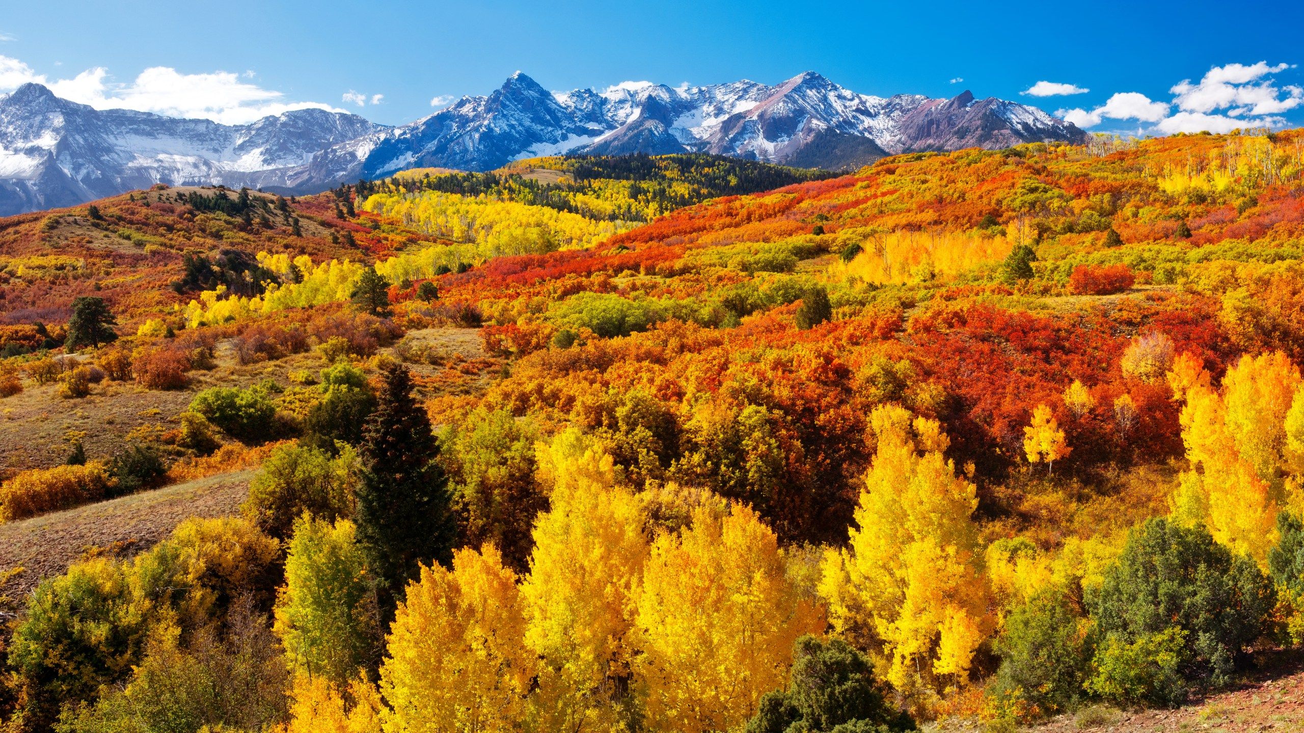 2560x1440 Colorado Fall Colors Guide. Map, Forecast, Places To Go