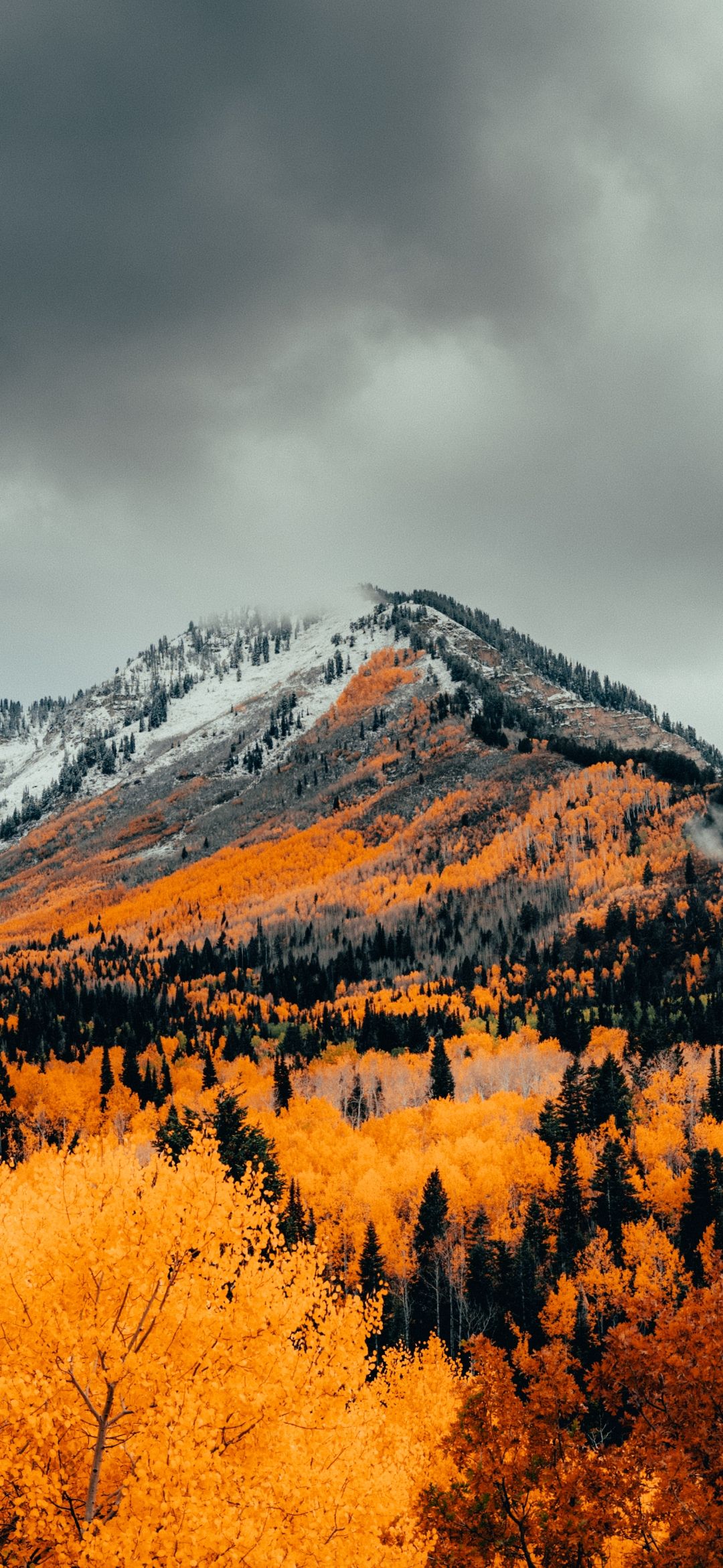 1080x2340 Wallpaper Autumn, Nature, Cloud, Mountain, Plant, Background Free Image