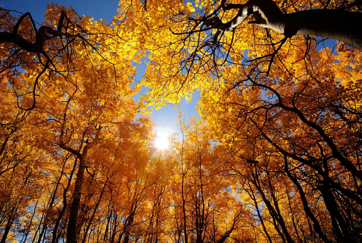 1200x806 Estes Park Fall Photography Guide
