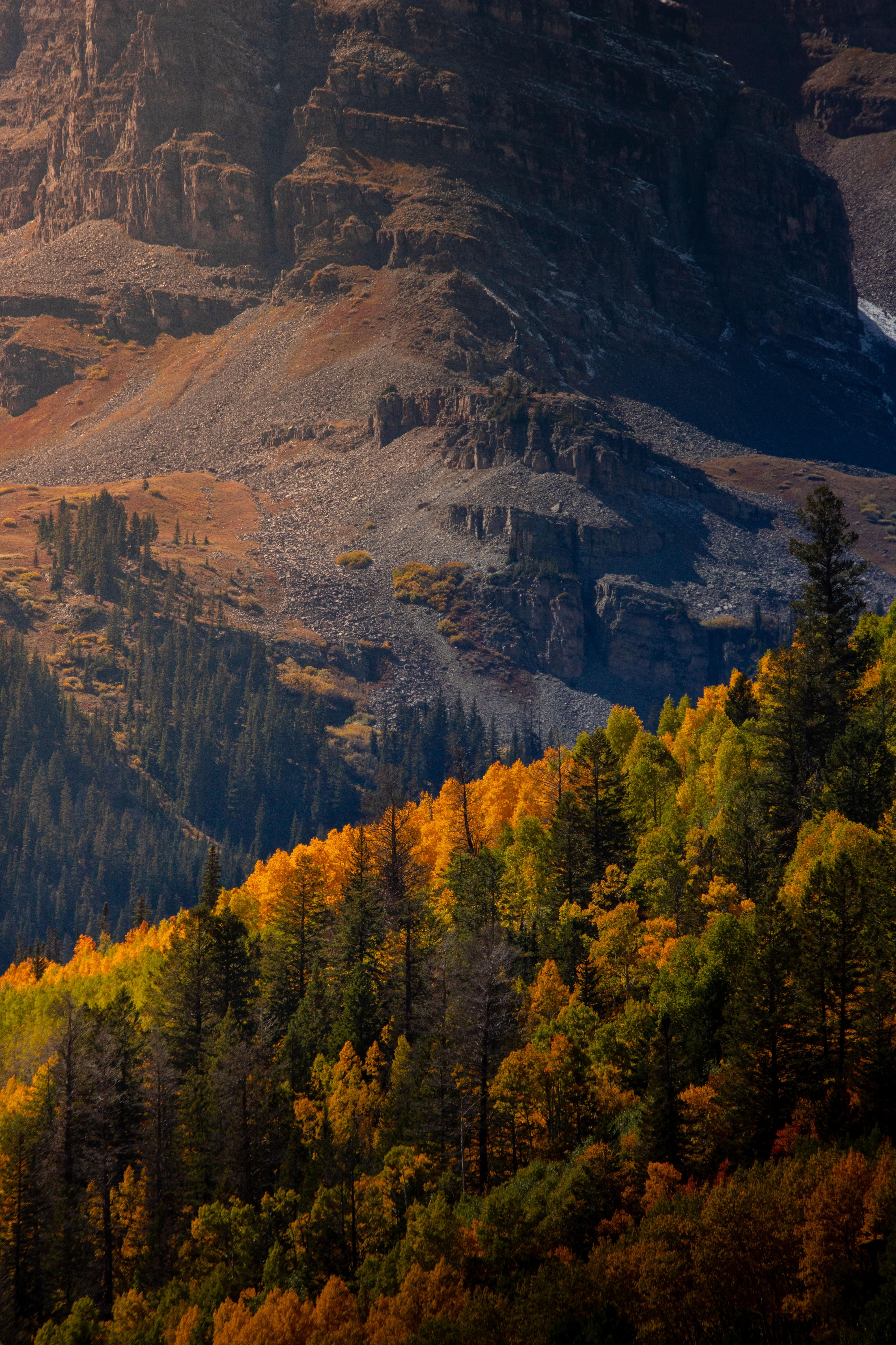 4000x6000 Fall in Colorado is a blessing everyone should experience at least once in their lives