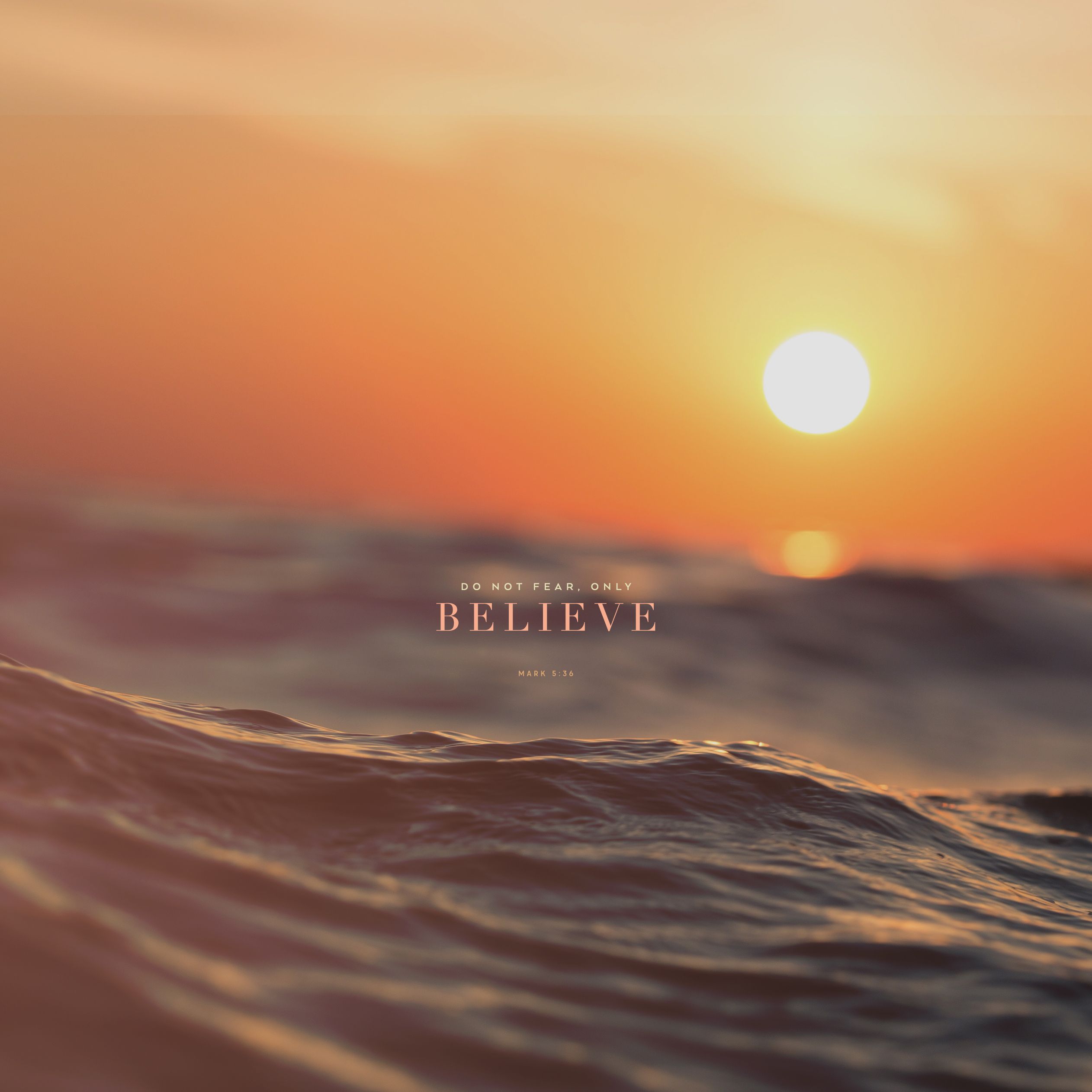 2524x2524 Fear Not Wallpaper