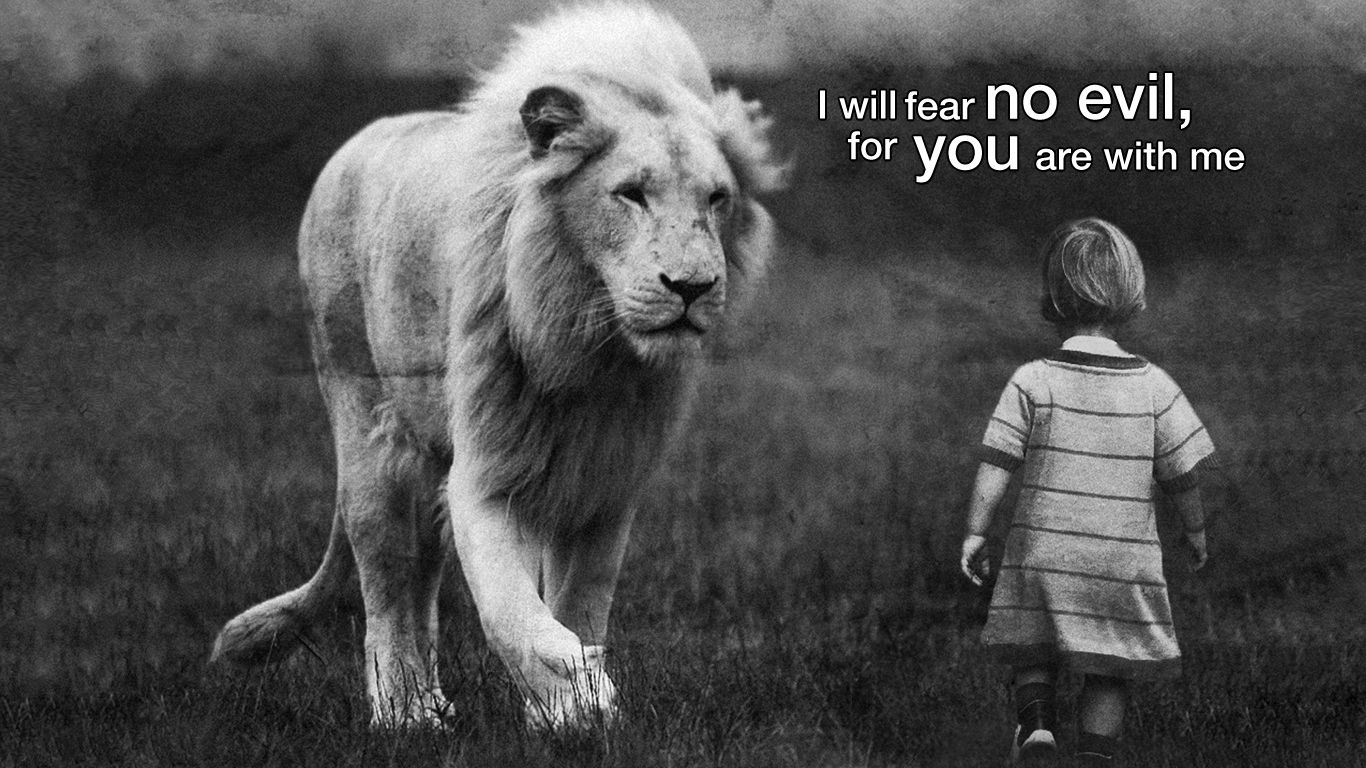 1366x768 I Will Not Fear!