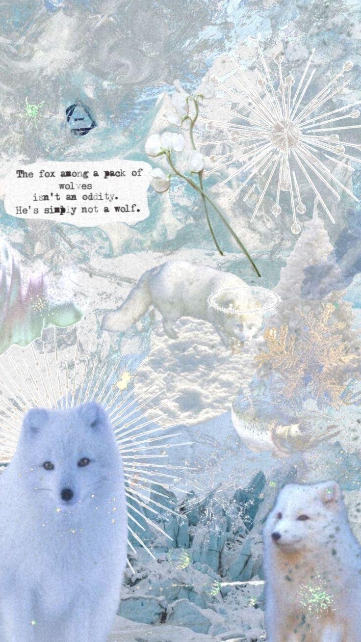 736x1308 Arctic fox wallpaper
