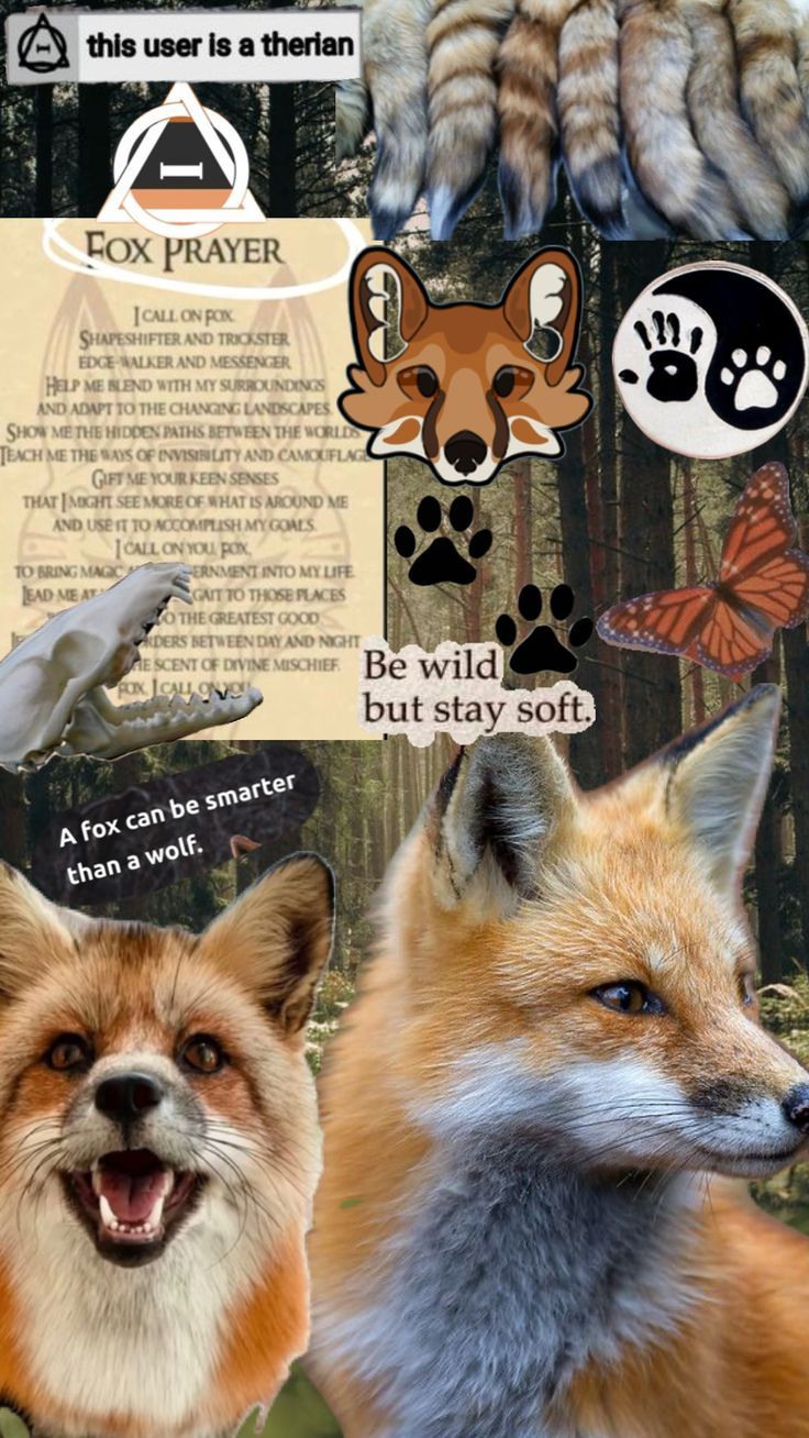 736x1308 Red Fox therian wallpaper✩DO NOT REPOST✩FEEL FREE TO CREDIT✩#therian #redfoxtherian #redfox #fox #wallpaper #theriantrophy