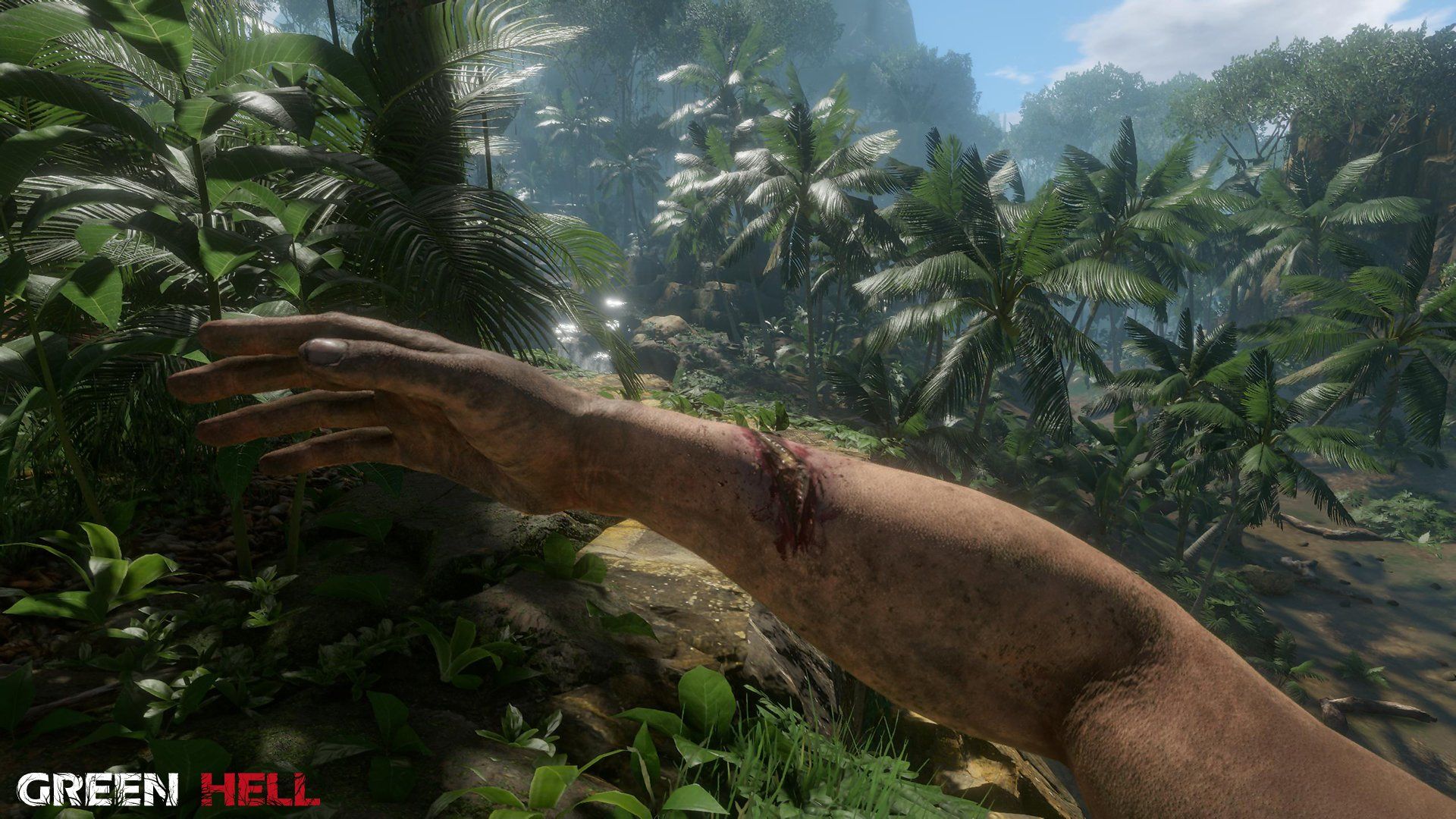 1920x1080 Green Hell Jungle Survival HD Wallpaperx1080