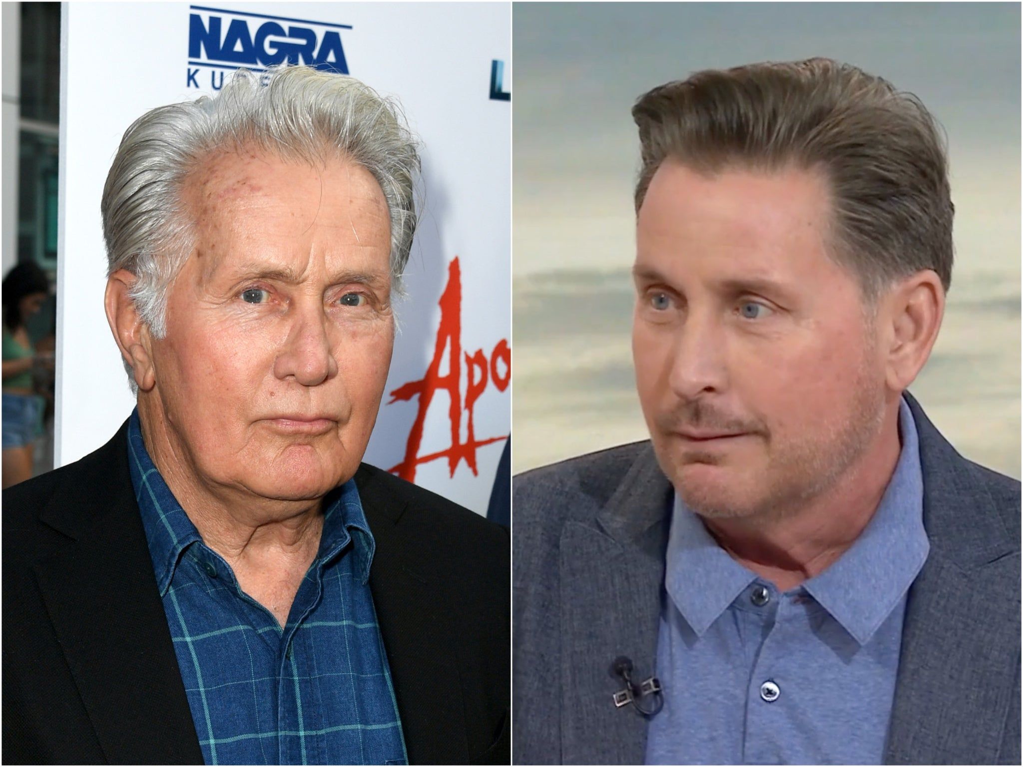 2048x1536 Emilio Estevez was saved from drowning in quicksand
