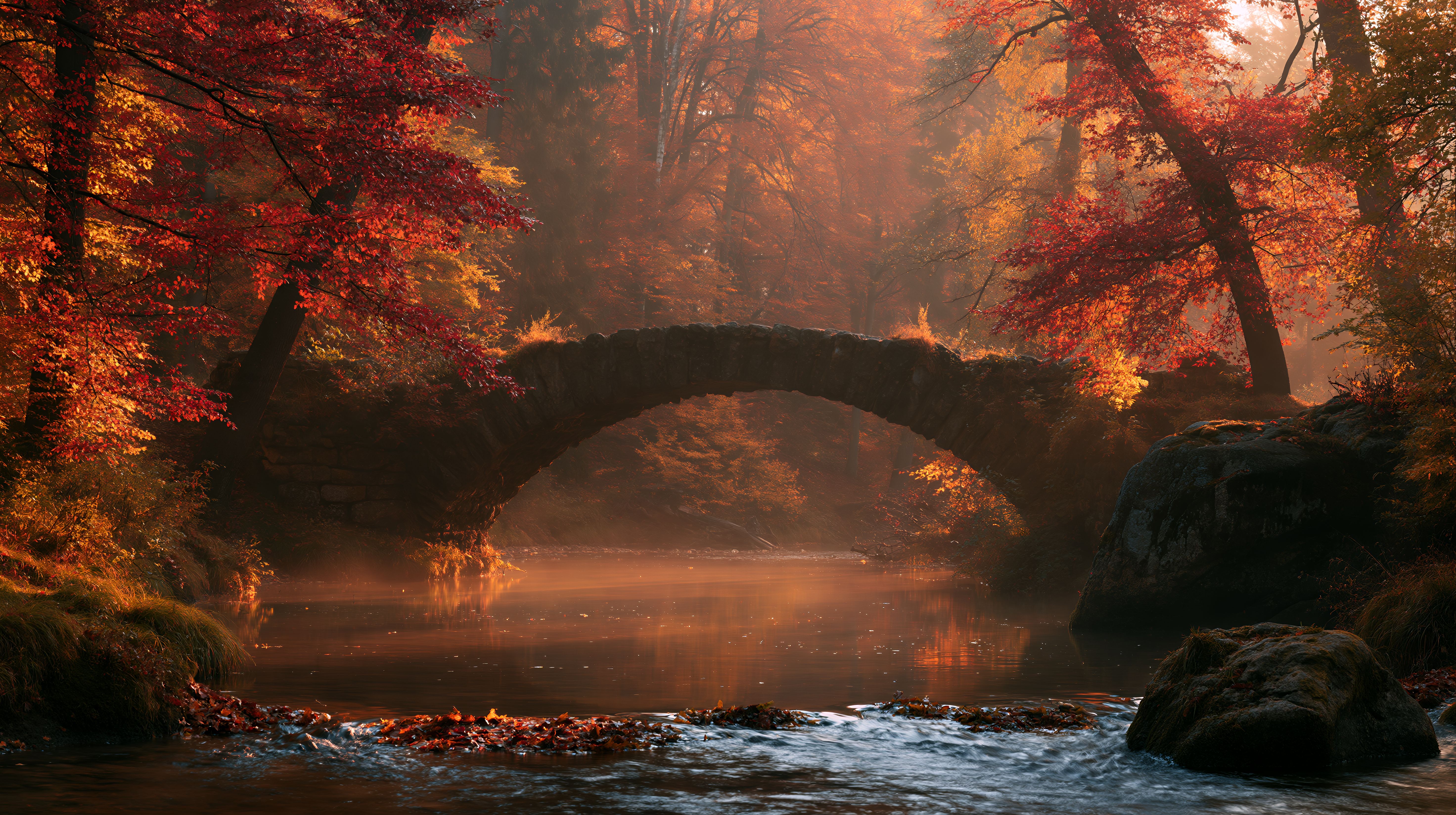 5888x3296 Autumn Forest Image. Free Image, Background and Wallpaper