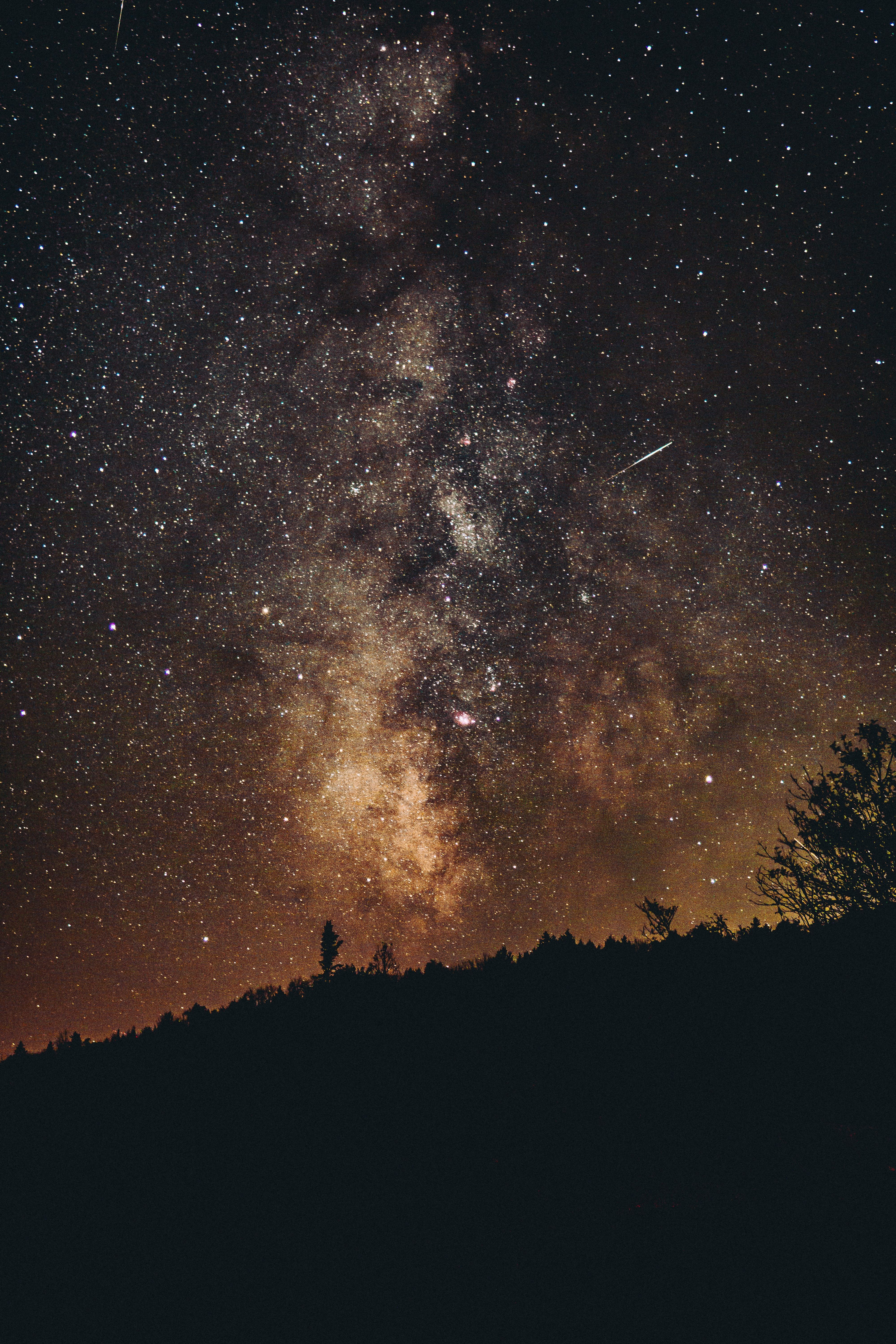 4000x6000 Starry Sky Phone Wallpaper: Free 4K & HD Downloads