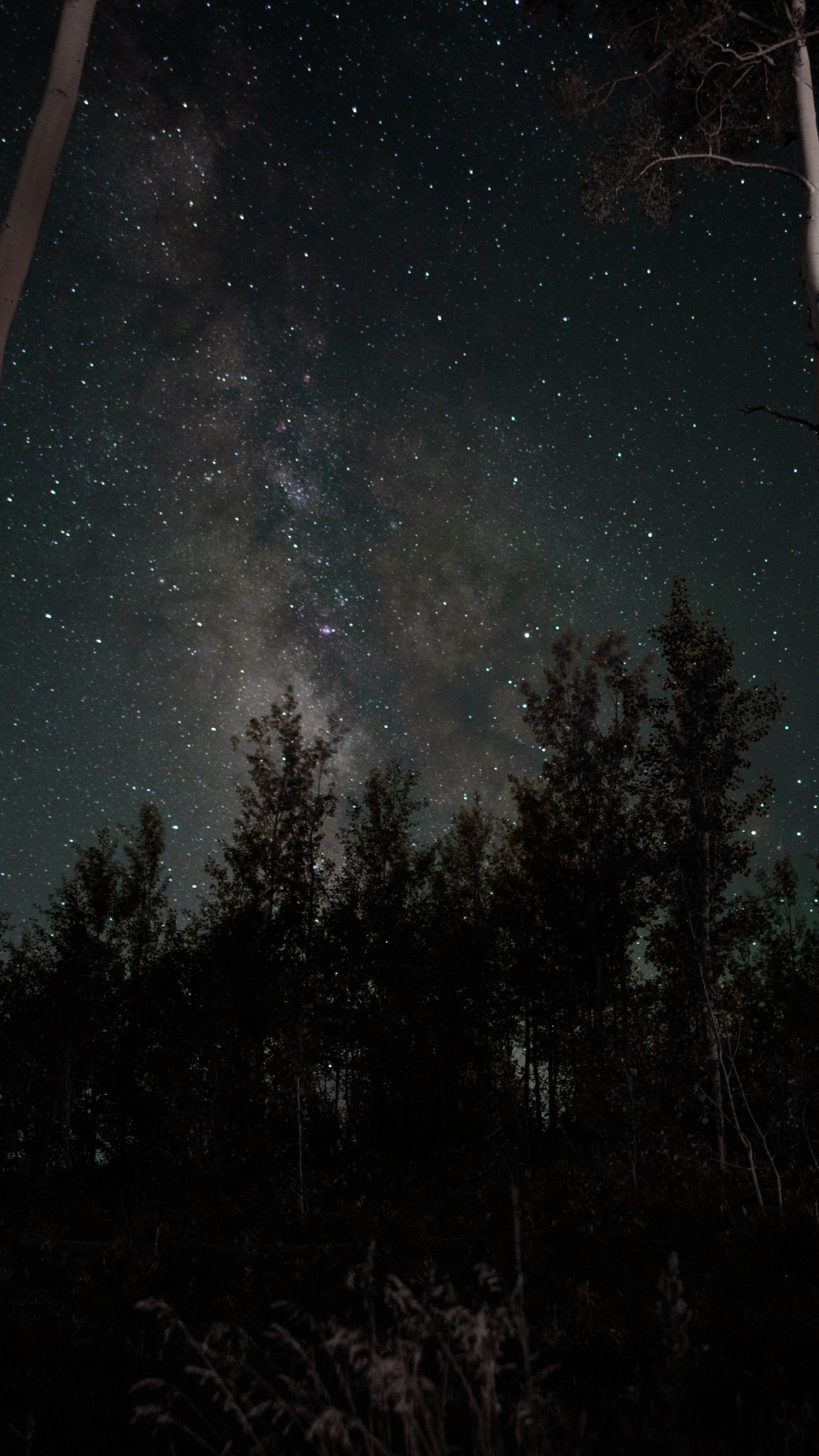 2160x3840 Night Sky Phone Wallpaper