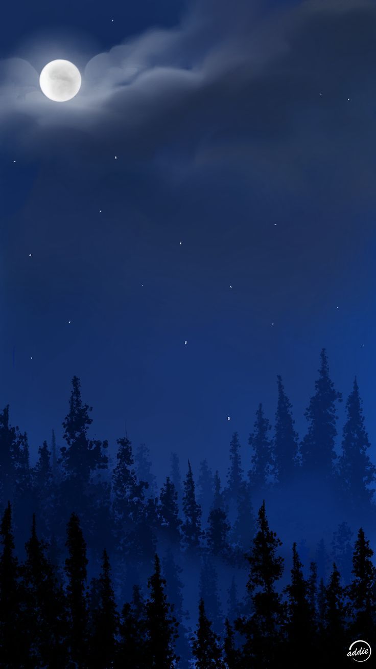 736x1308 Night Sky Phone Wallpaper