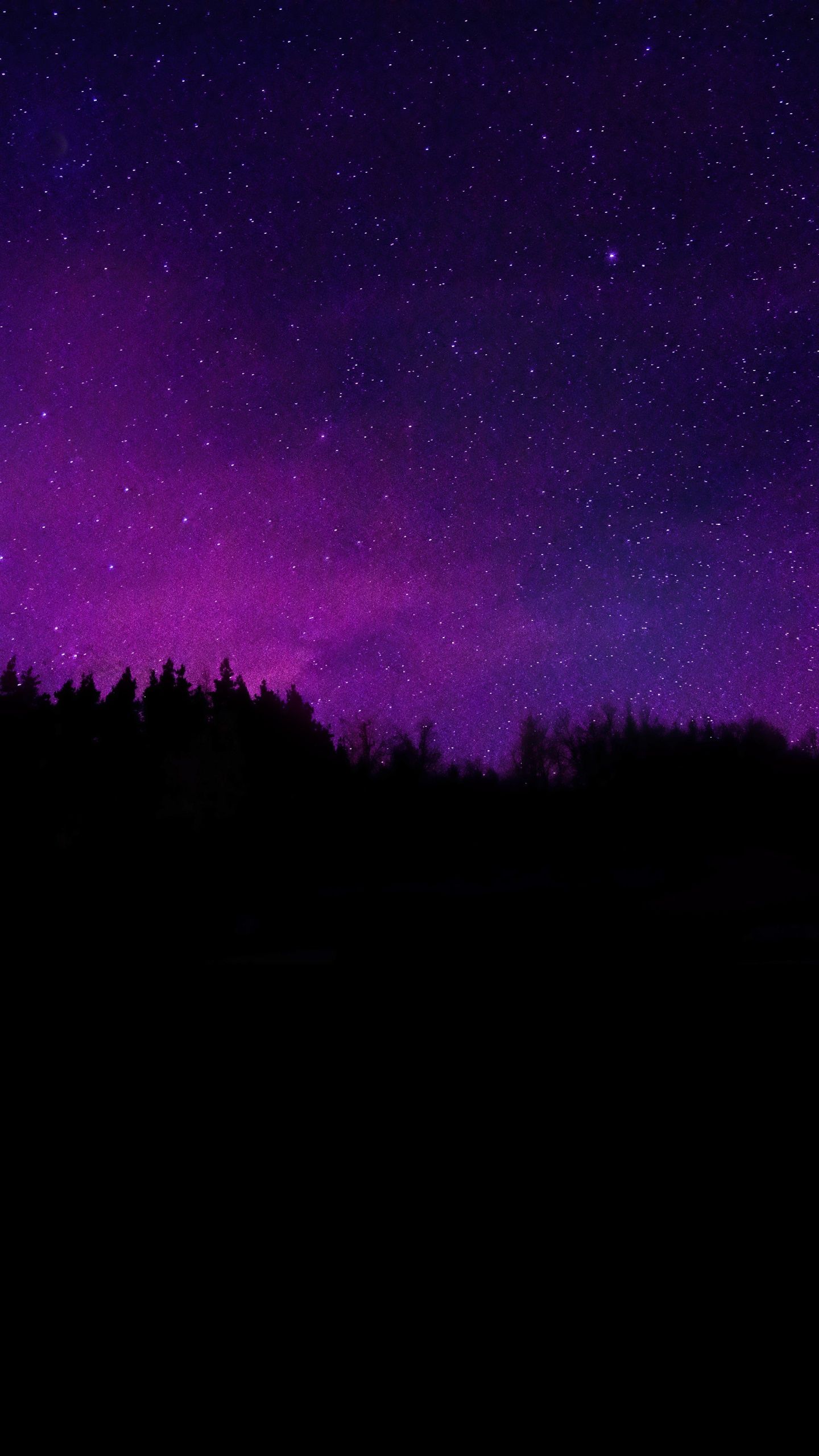 1440x2560 Trees Wallpaper 4K, Silhouette, Purple sky