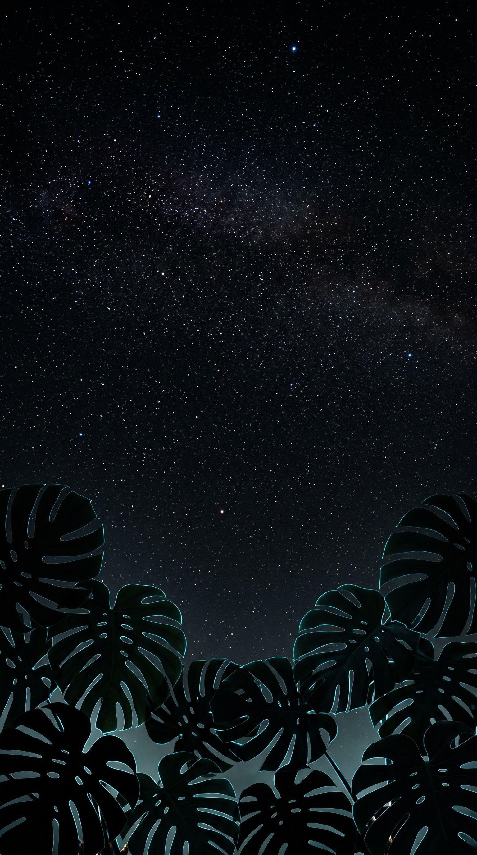 1536x2752 Black Starry Night Wallpaper: Cool Summer Sky Vibes