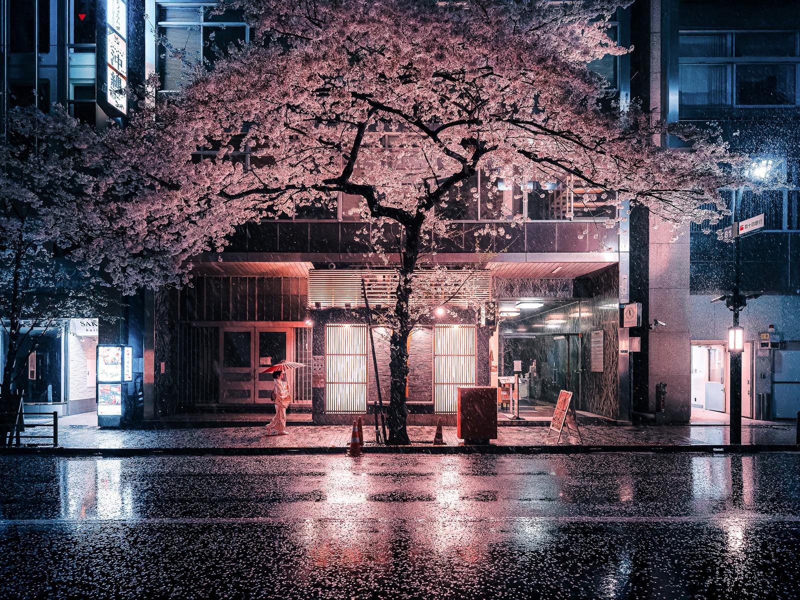 1600x1200 Ever Changing Tokyo: A City Of Night And Rain. TOKYO UPDATES [The Official Information Website Of Tokyo Metropolitan Government]
