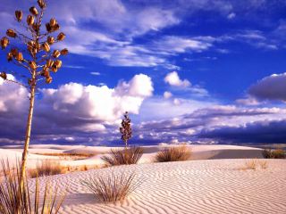 320x240 Beautiful Wallpaper: Beautiful Decent Desktop Wallpaper