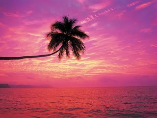 320x240 Rainbow sunset beach wallpaper
