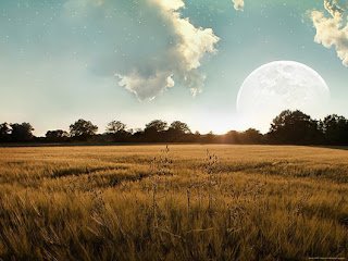 320x240 PSD Collector: Freebie : 190 Amazing 3D Wallpaper