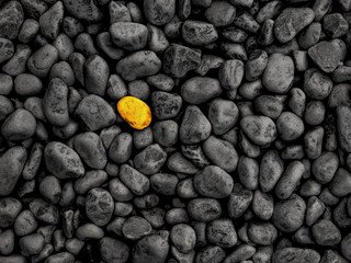 320x240 Unique Image. Free Image, Background and Wallpaper