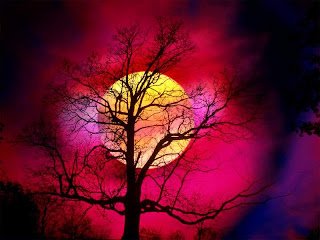 320x240 Amazing Natural Picture, Seeneries, Wallpaper, Sceneries, Photos, Animals, Nachural Wallpaper: Beautiful Sunset Really Amazing Natural Picture