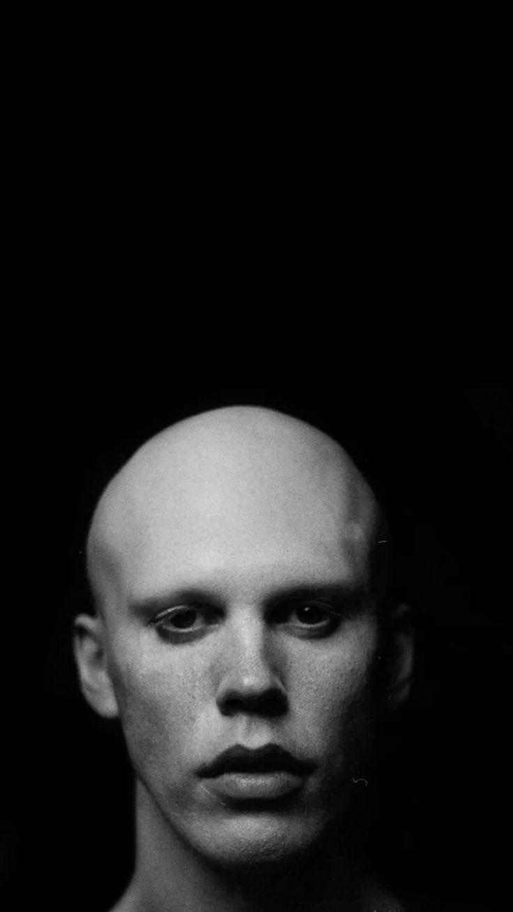 736x1308 Feyd Rautha wallpaper