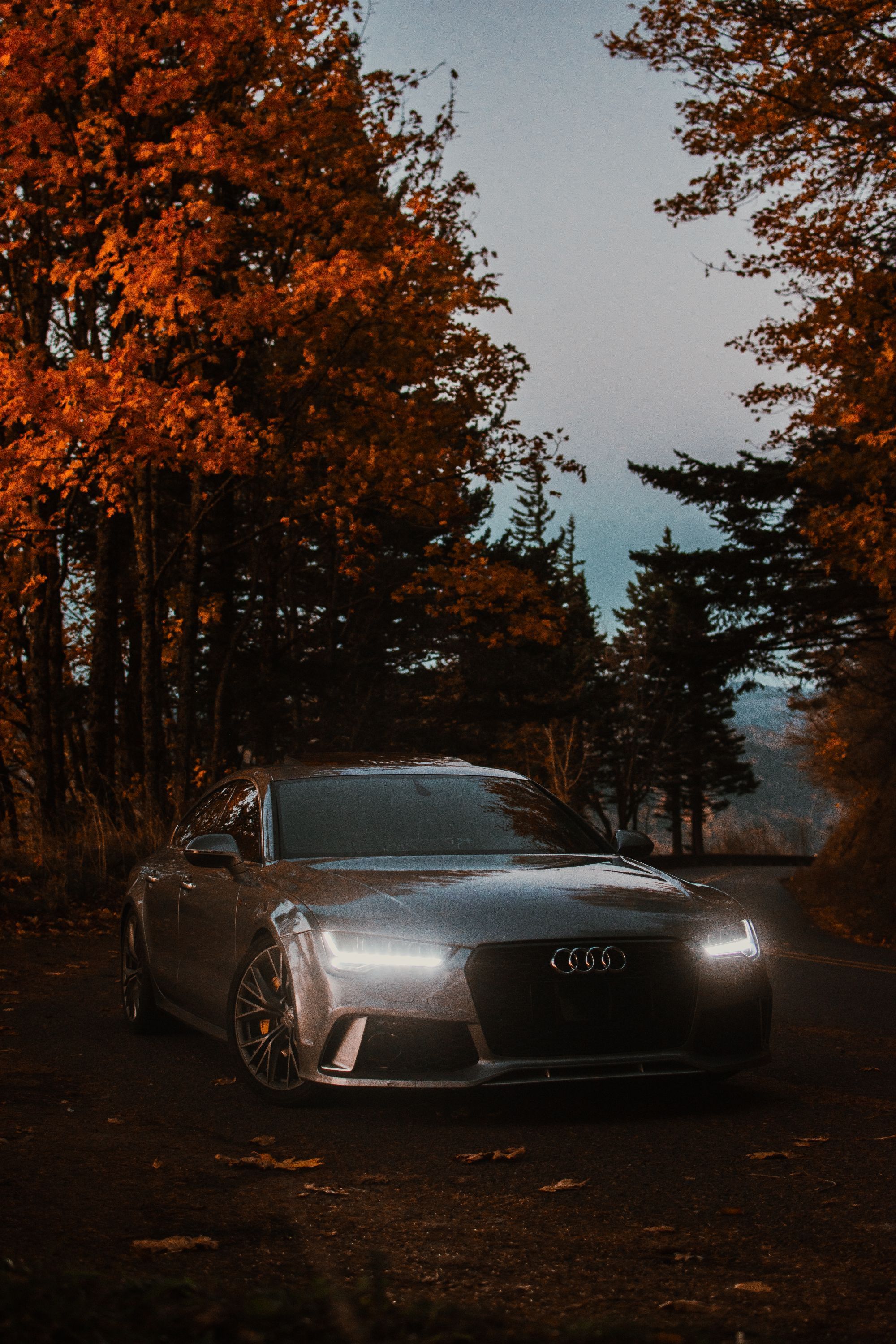 2000x3000 Audi A4 on Road in Forest · Free