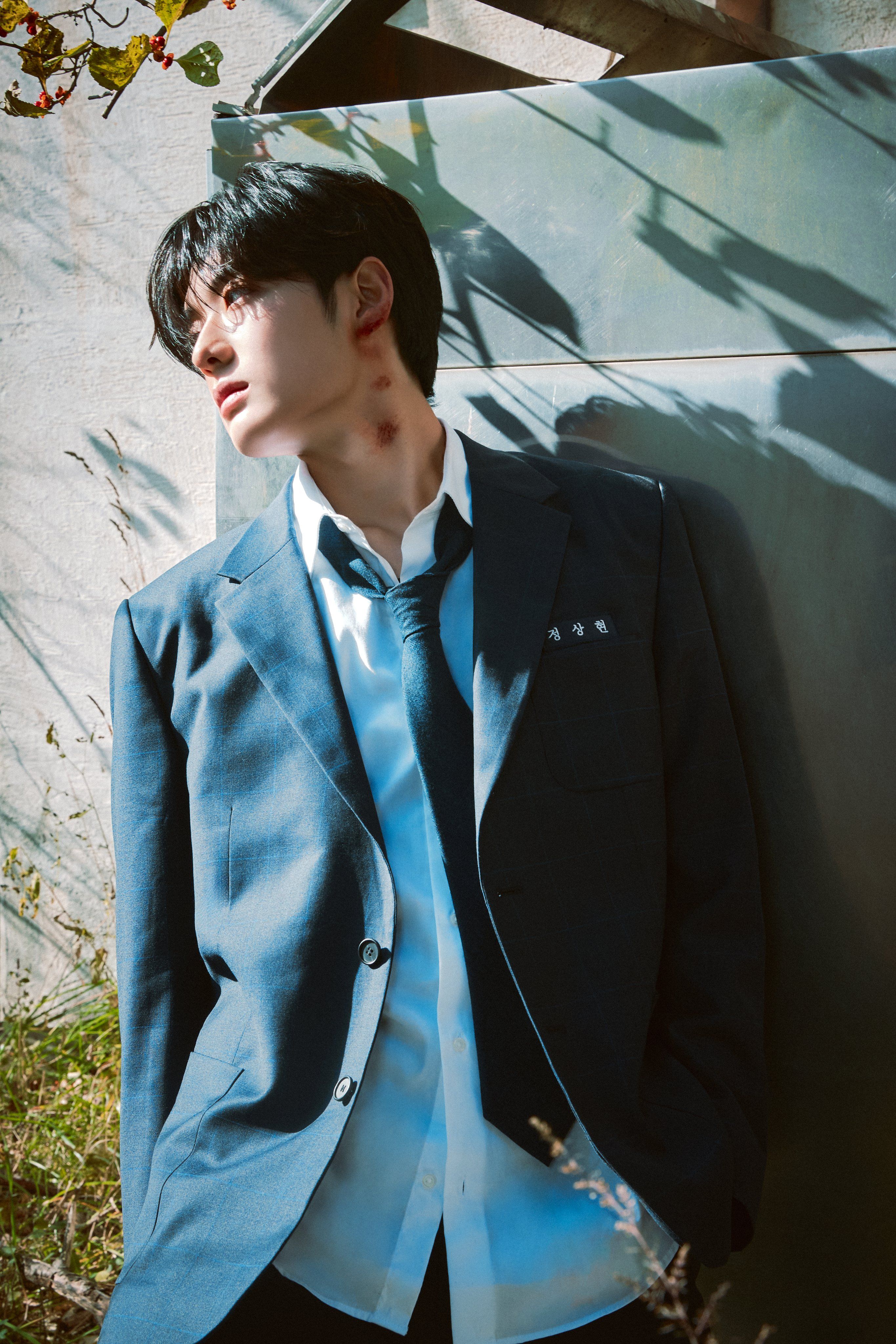 2731x4096 ALD1