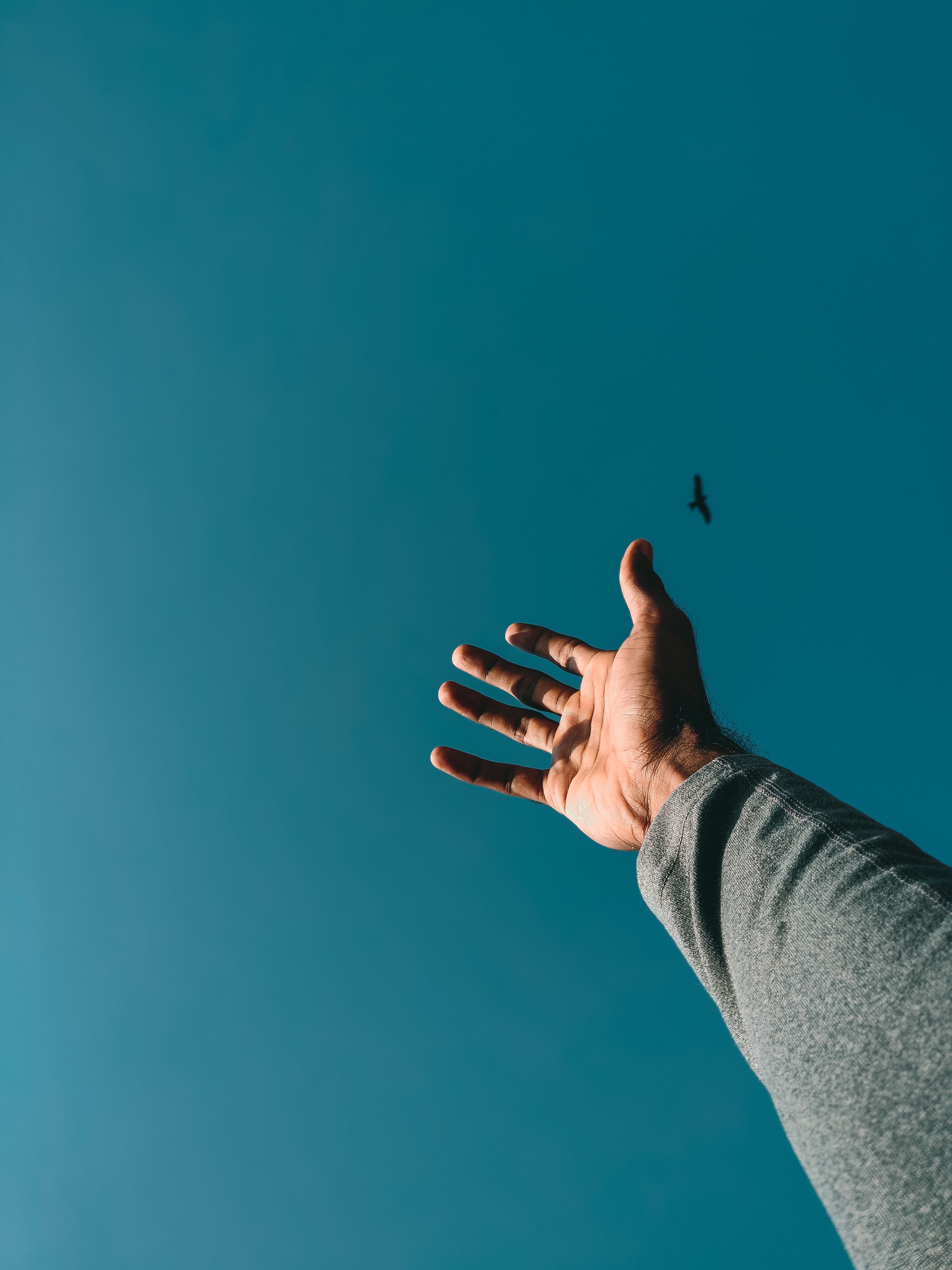 3456x4608 Person's Hand Reaching For The Sky · Free