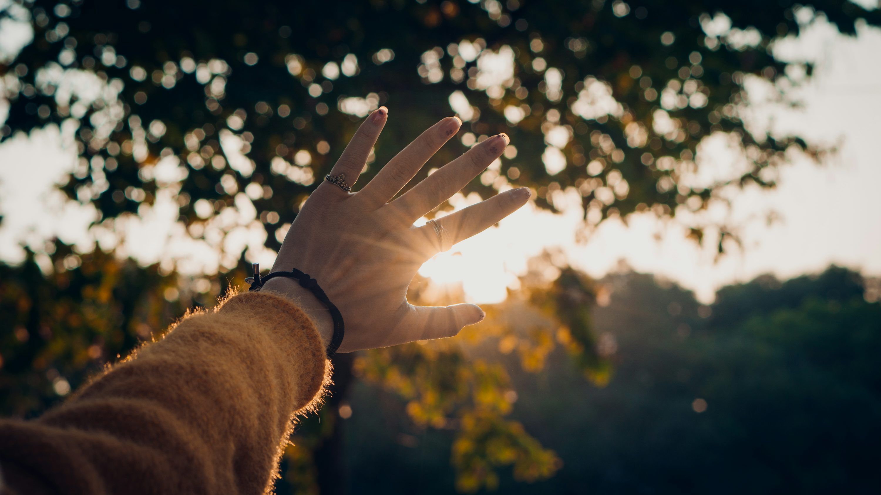 3000x1688 A person's hand reaching out towards the sun