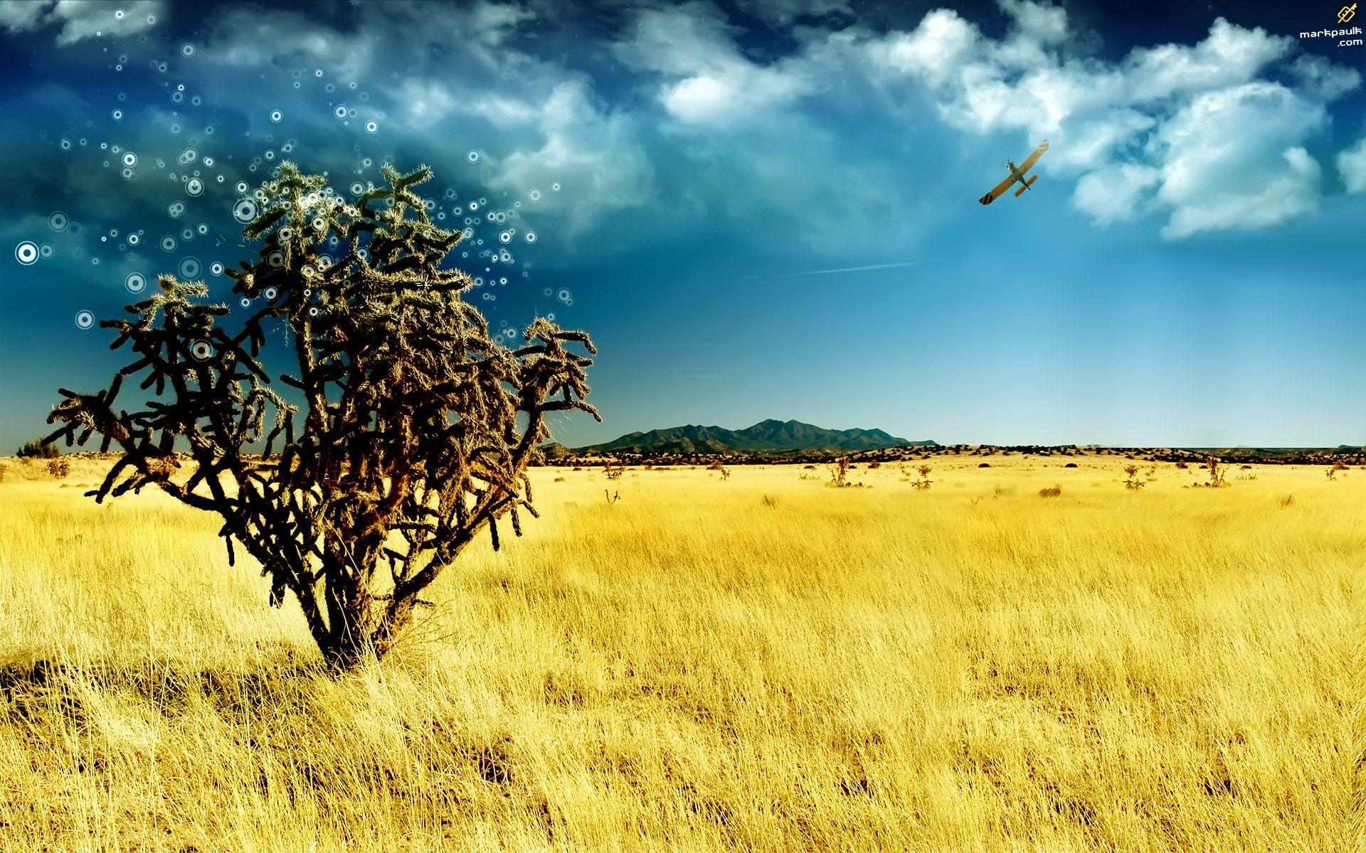 1920x1200 Hi resolution desktop wallpaper