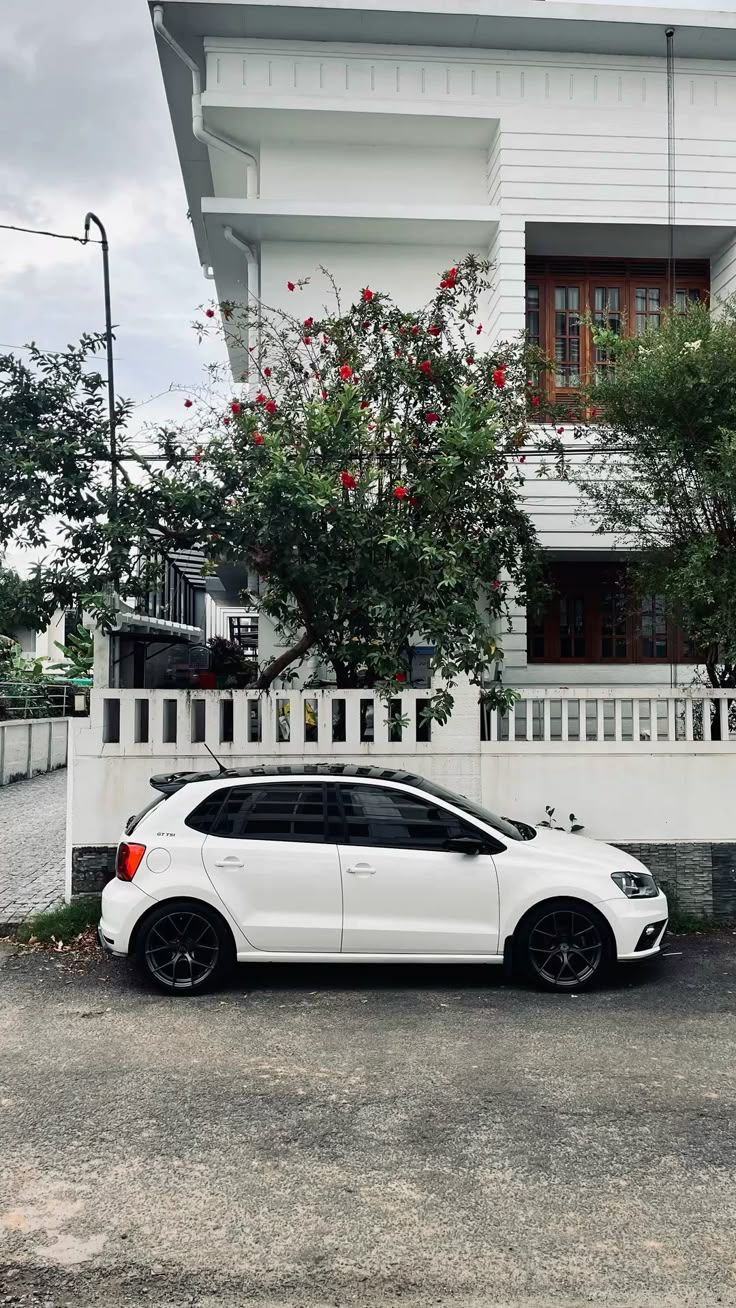 736x1308 Polo Gt