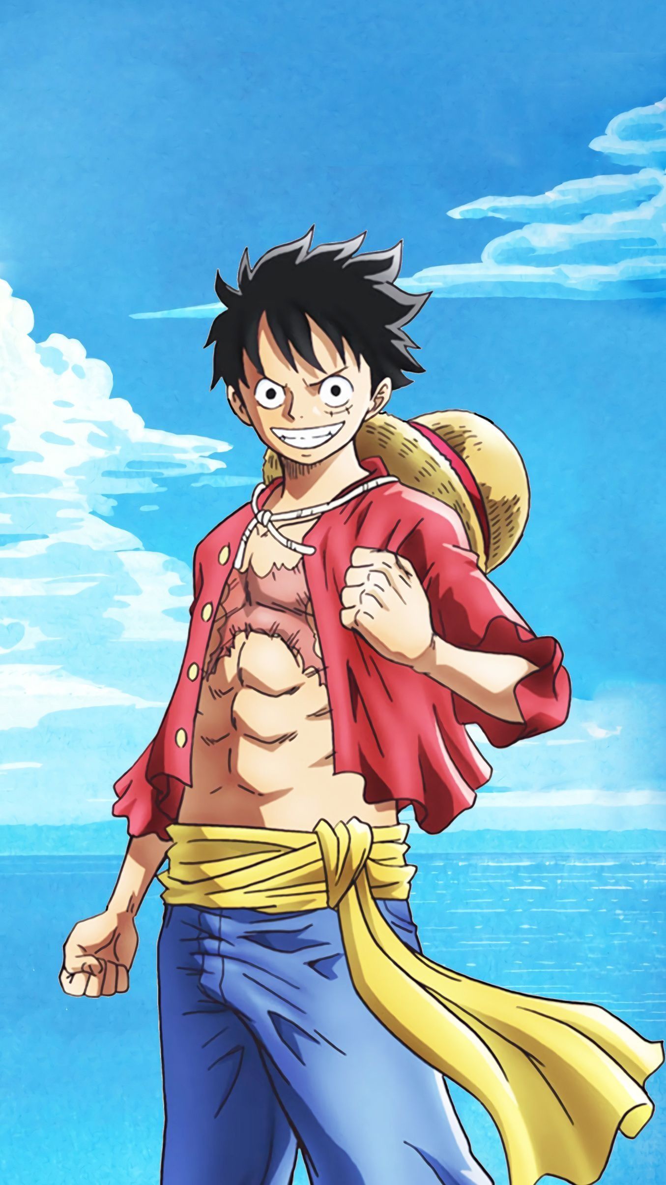 1355x2409 Monkey D. Luffy Wallpaper