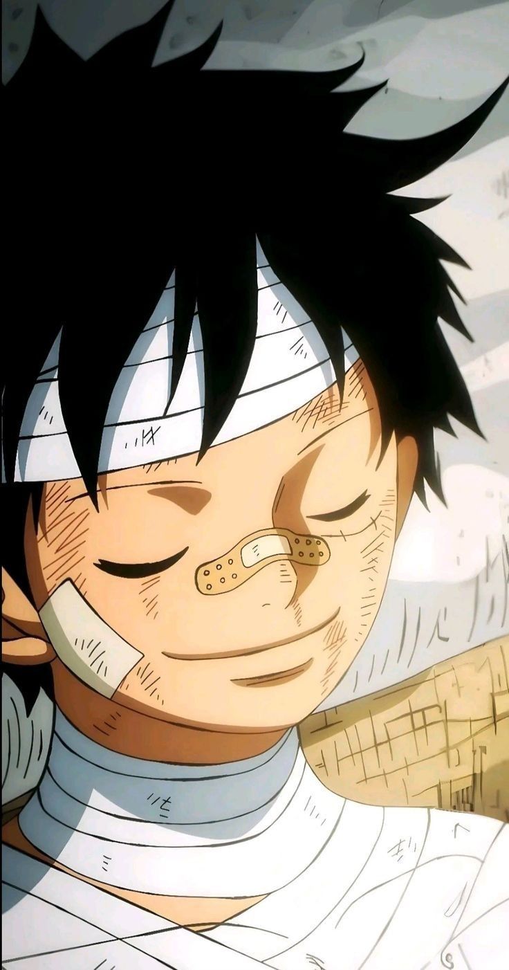 736x1402 Luffy wallpaper. Luffy dreams, Luffy tired, Luffy profile picture
