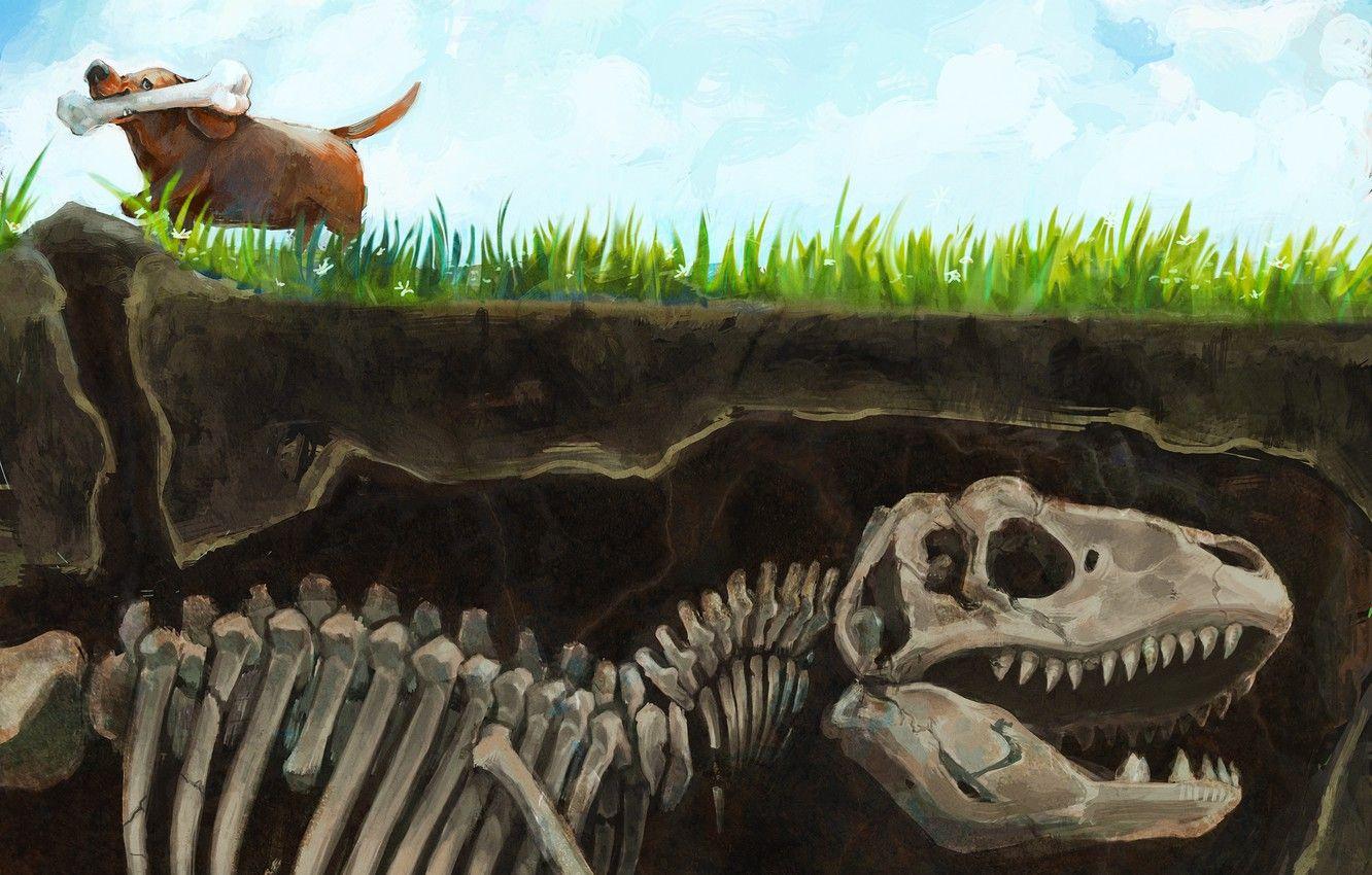 1332x850 Wallpaper grass, earth, dinosaur, dog, art, skeleton, bone image for desktop, section ситуации