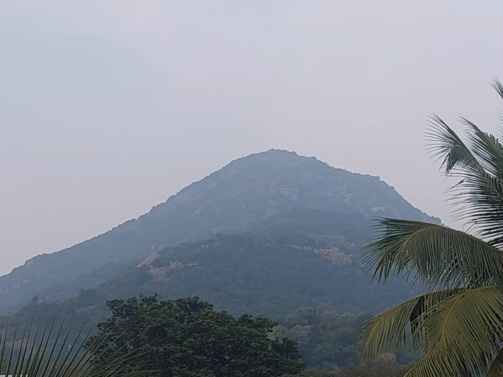 2048x1536 Arunn Bhagavathula చి లిపి on X: Unfortunately I missed a golden opportunity to visit Arunachalam about a decade ago. A close friend of mine who was the COO of a large company