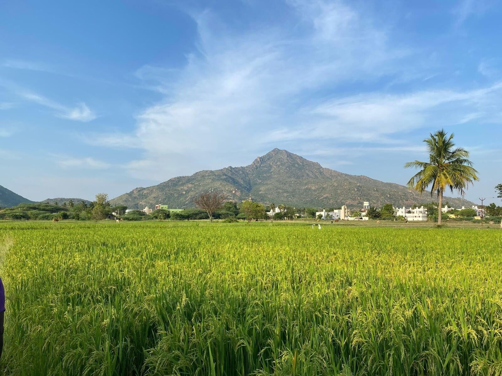1600x1200 Power of Arunachala