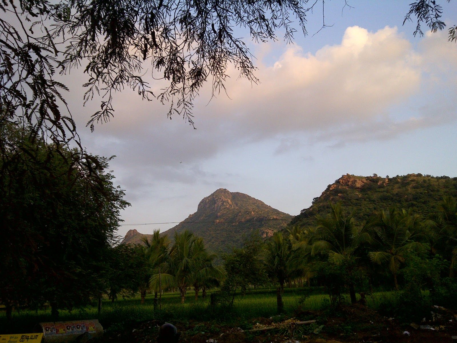 1600x1200 Rohit Arya on The Secret of Arunachalam