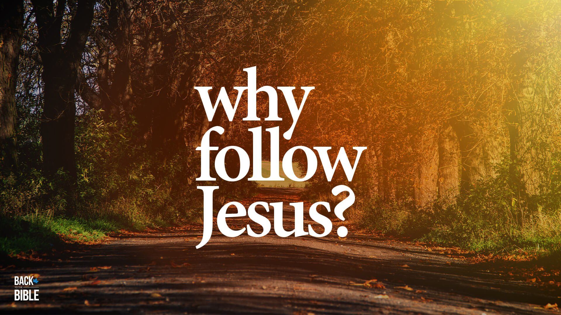 1920x1080 A Real Heart Scratcher: Why Do We Believe In And Follow Jesus Christ? John 7:37 39