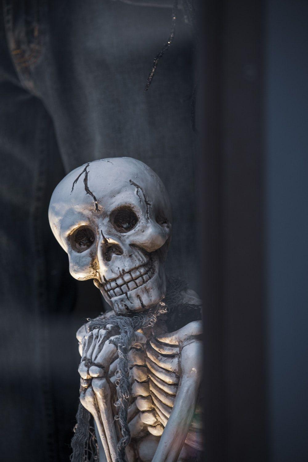 1000x1500 Skull Picture. Download Free Image