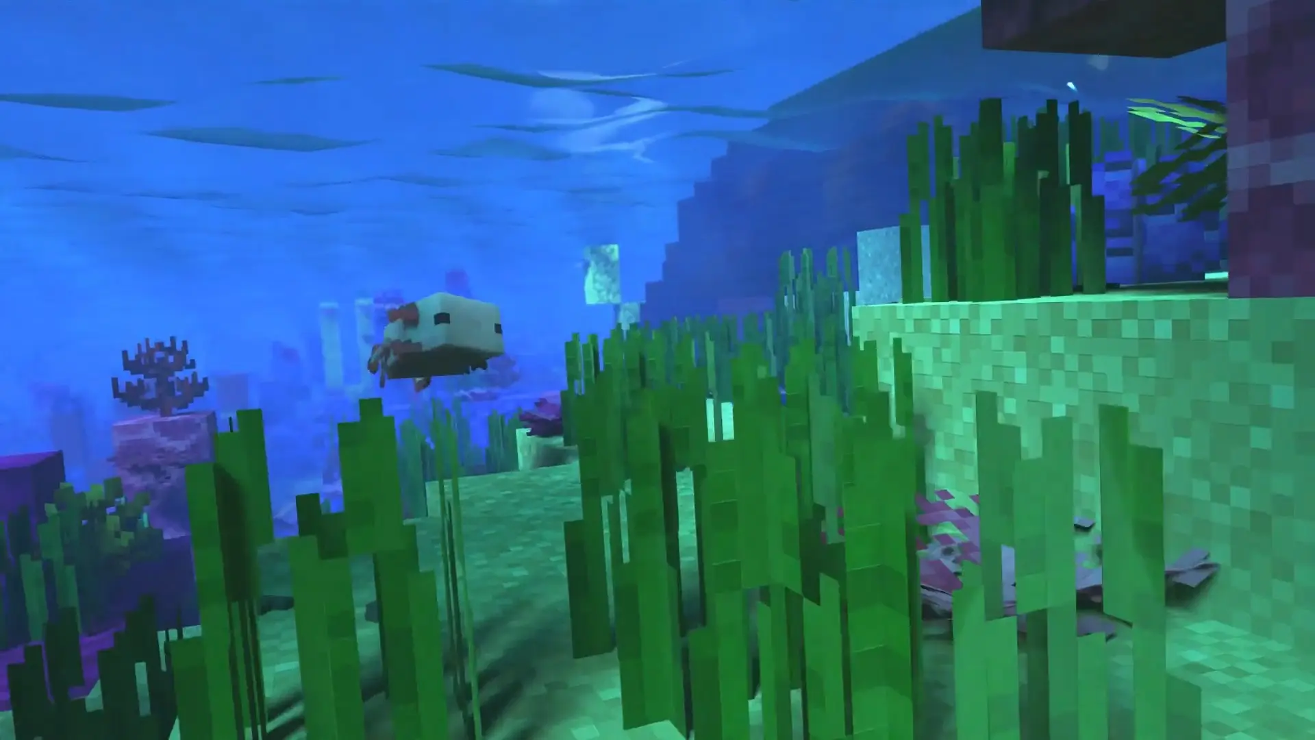 1920x1080 Best Minecraft Live Wallpaper in 4K & HD