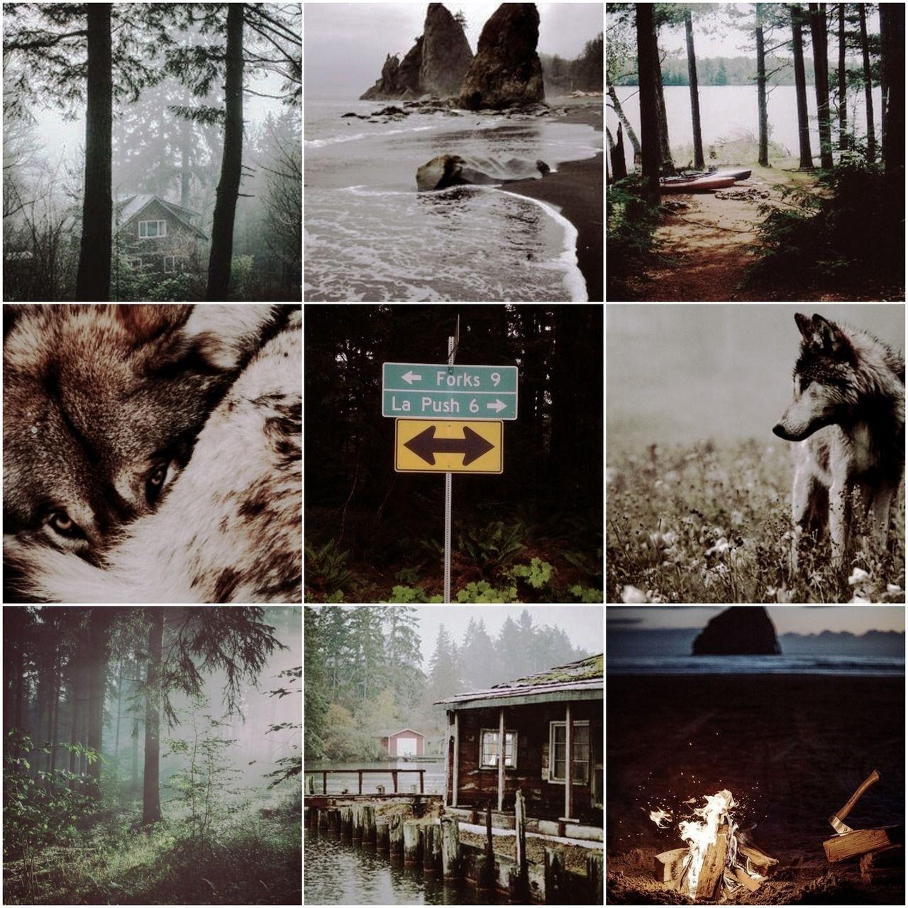 1280x1280 Dhampir Druid: â ???? Thẩm mỹ người sói Twilight â ????.  Sách Chạng vạng, Hình ảnh Chạng vạng, Sói chạng vạng