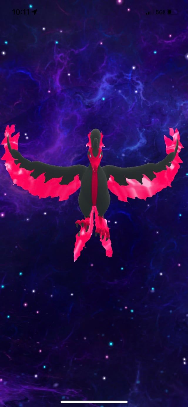 640x1385 Caught a Galarian Moltres with a Master Ball!