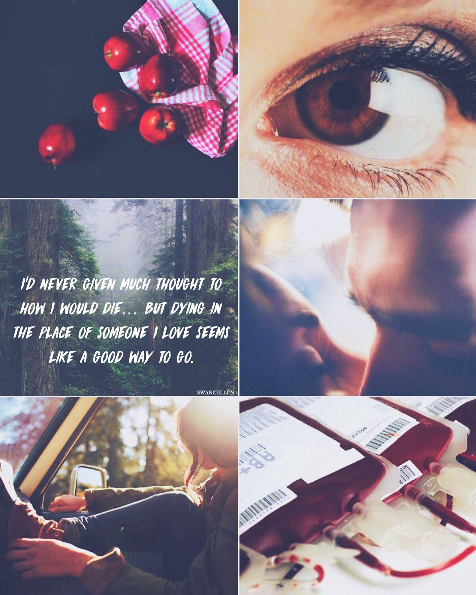 1586x1983 Chạng vạng Saga.  Thẩm mỹ Edward & Bella.  Chạng vạng, Lãng mạn ma cà rồng, Twilight saga