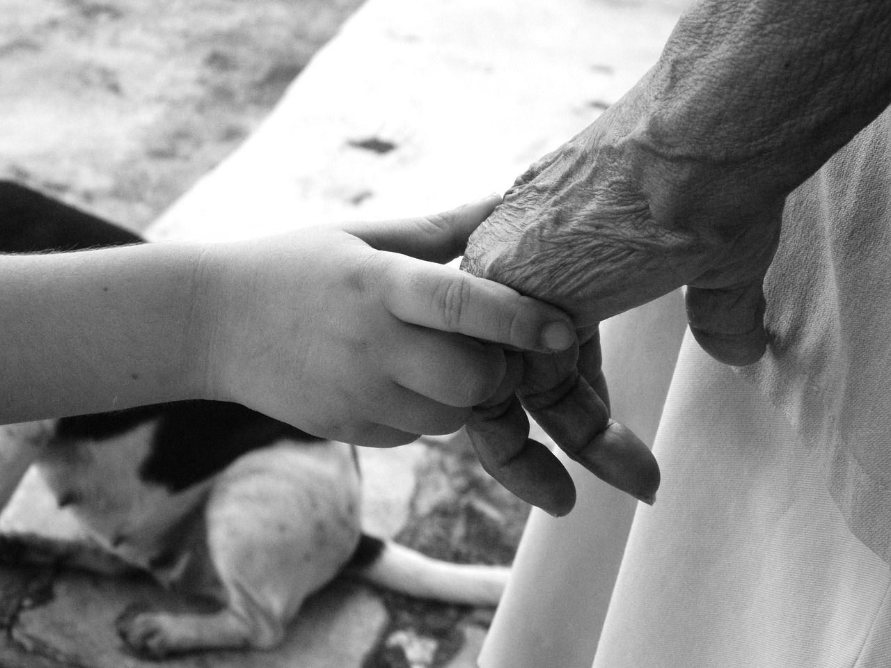 1280x960 Young Old Age White
