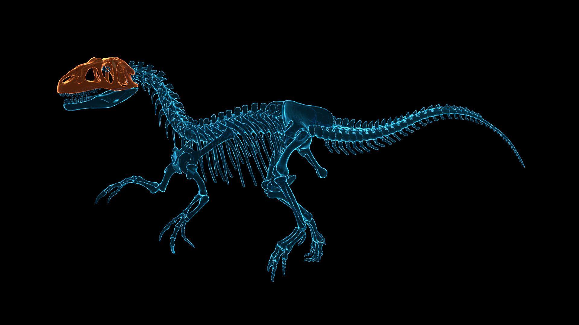 1920x1080 Dinosaur Fossil Hunter on Steam