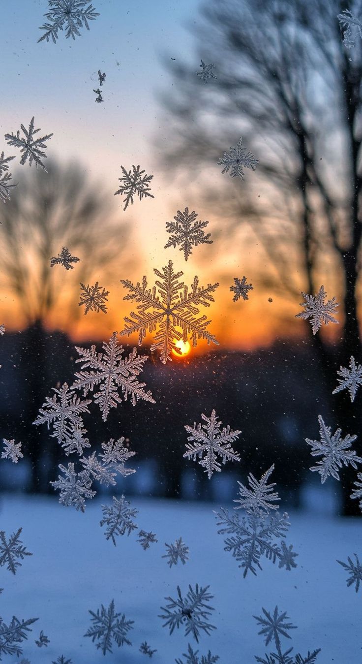 736x1349 Focus on the Details and Warm Light. Aesthetic background snow, Wallpaper cozy winter, Winter weather